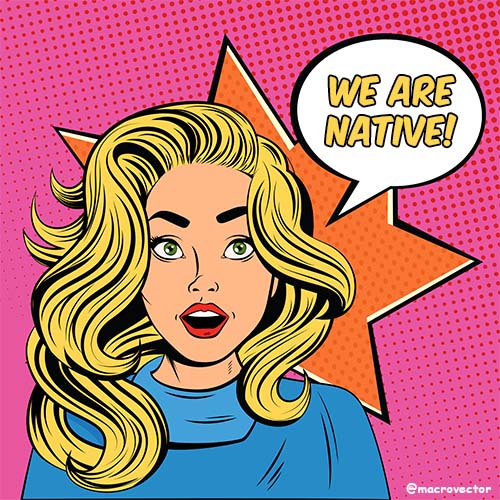 grammar past workshop